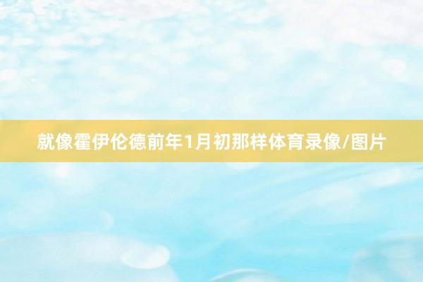 就像霍伊伦德前年1月初那样体育录像/图片