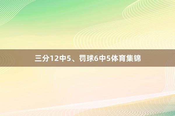 三分12中5、罚球6中5体育集锦