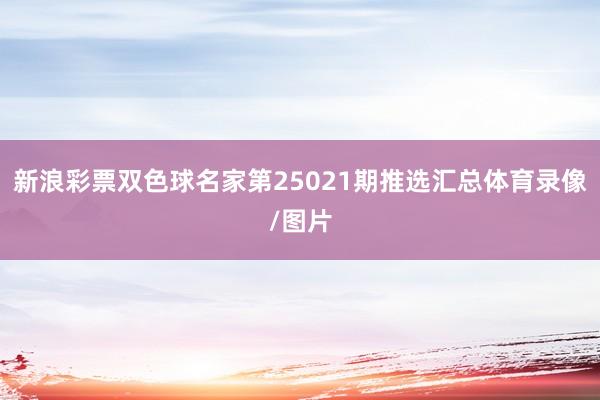 新浪彩票双色球名家第25021期推选汇总体育录像/图片