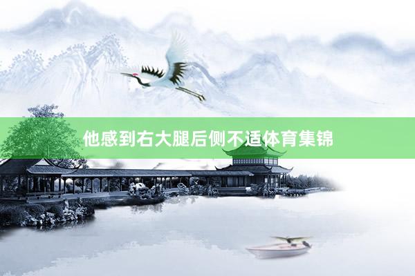他感到右大腿后侧不适体育集锦