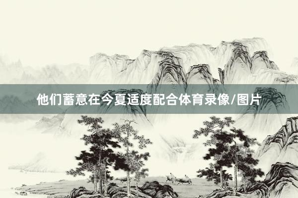 他们蓄意在今夏适度配合体育录像/图片
